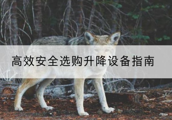 沧源升降货梯厂家推荐-*安全选购升降设备指南