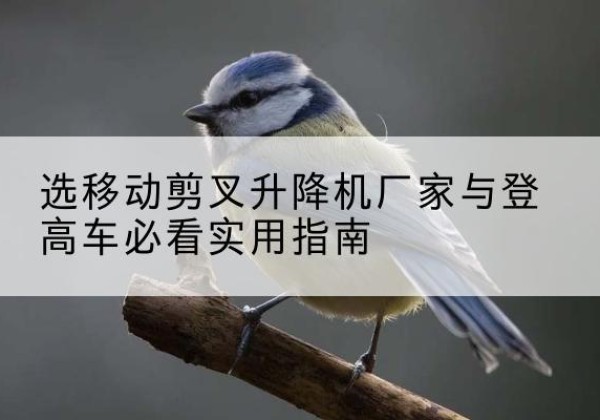沧源电动升降机厂家-选移动剪叉升降机厂家与登高车必看实用指南