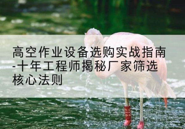 沧源剪叉式升降机厂家-高空作业设备选购实战指南-十年工程师揭秘厂家筛选核心法则